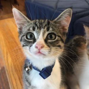 Meet your Posher, Ashlyn